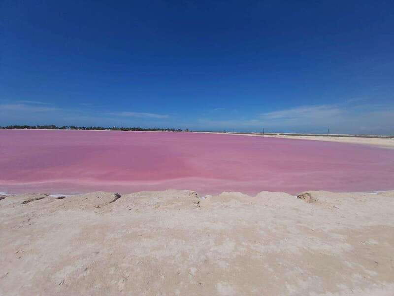 Rio Lagartos and Las Coloradas: Safari Flamingo Luxury - The mangrove channels: where bird time actually happens
