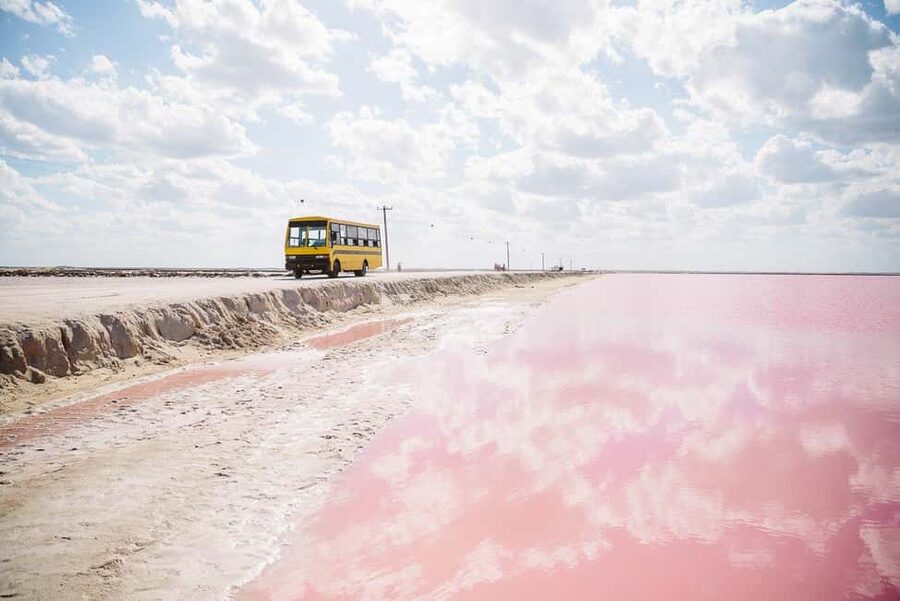 Rio Lagartos and Las Coloradas: Safari Flamingo Luxury - End at a pristine Gulf of Mexico beach, then swim
