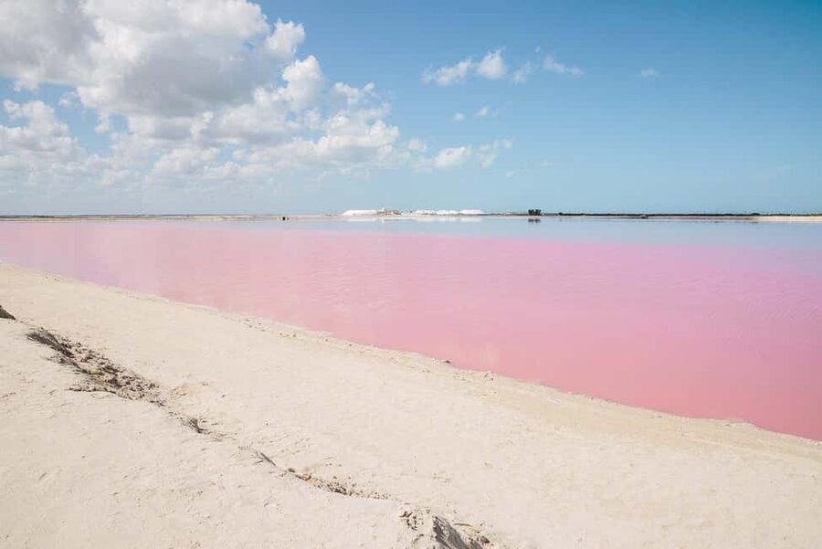 Río Lagartos and Las Coloradas: Wildlife Natural Experience - Key highlights at a glance