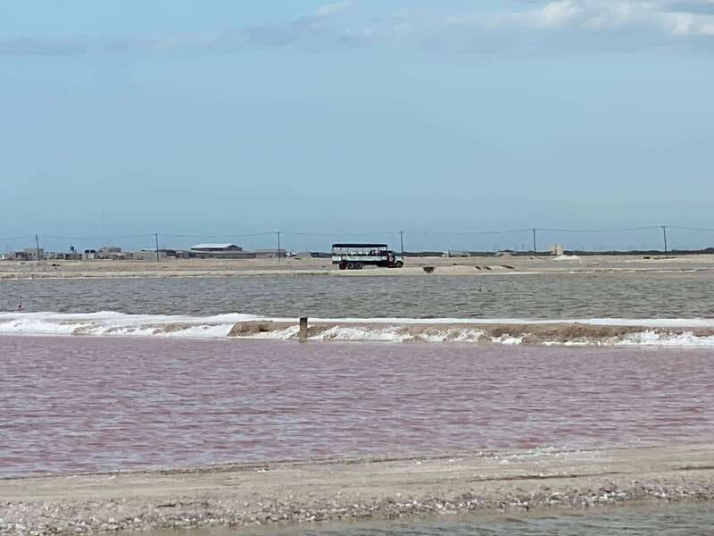 Río Lagartos and Las Coloradas: Wildlife Natural Experience - Las Coloradas pink lagoons, viewed from the backside