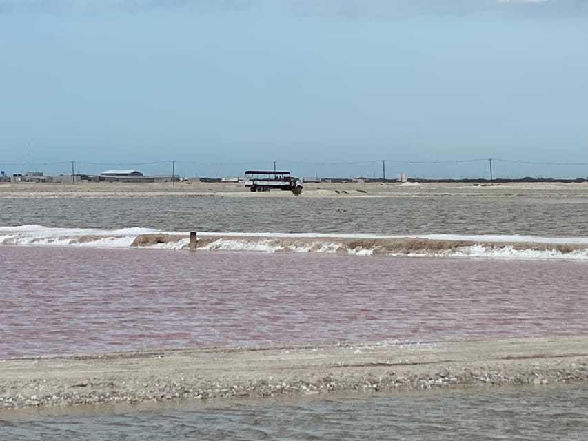 Río Lagartos and Las Coloradas: Wildlife Natural Experience - A 4-hour plan that still feels complete