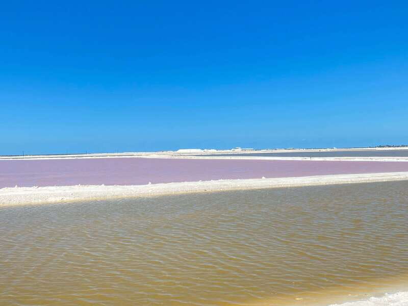 Río Lagartos and Las Coloradas: Wildlife Natural Experience - Boat time in Río Lagartos: birds first, crocodiles on purpose
