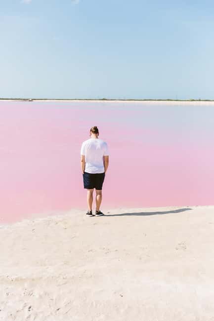 Río Lagartos and Las Coloradas: Wildlife Natural Experience - Cenote swim: the one “fresh water” break in the middle