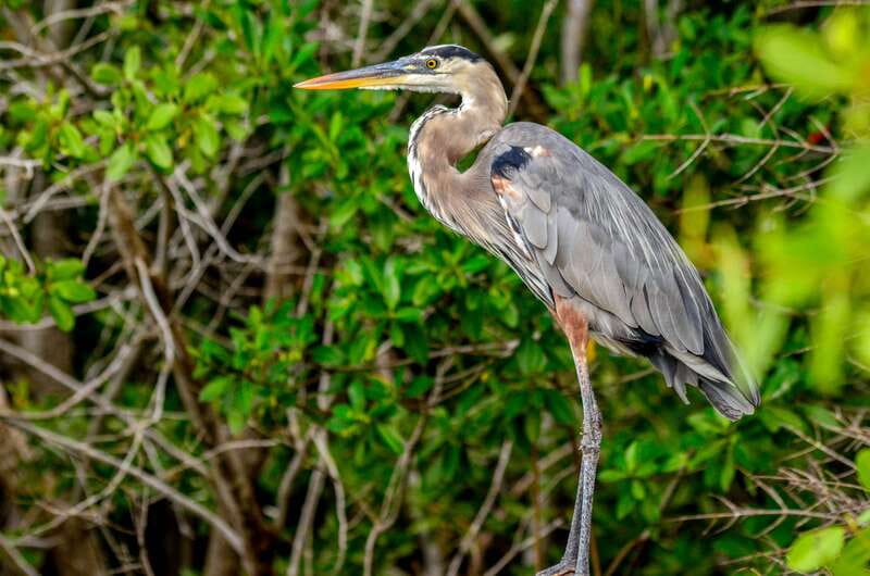 Rio Lagartos: Boat Tour through the Nature Reserve - How the private boat tour actually runs in practice