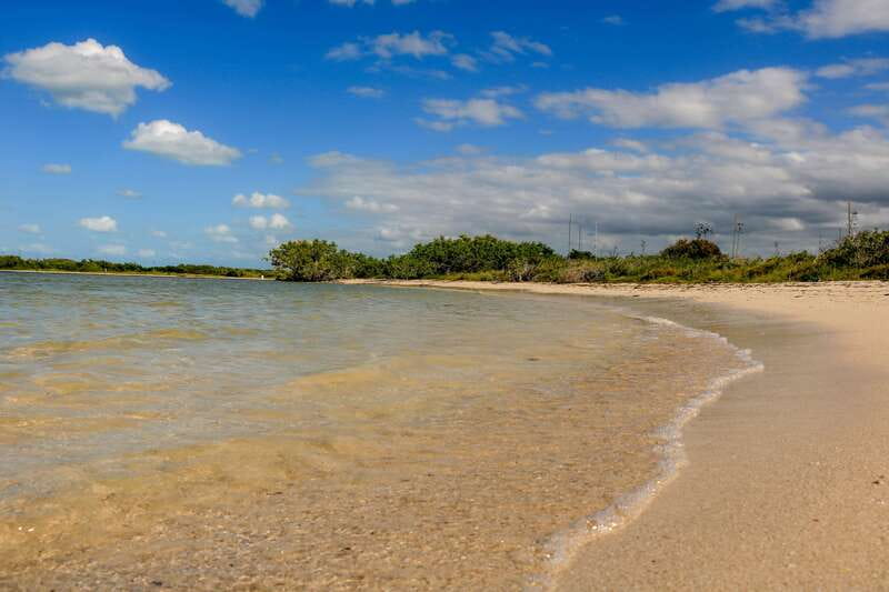 Rio Lagartos: Boat Tour through the Nature Reserve - Crocodile Moreletti in the mangroves, and how to stay cool about it