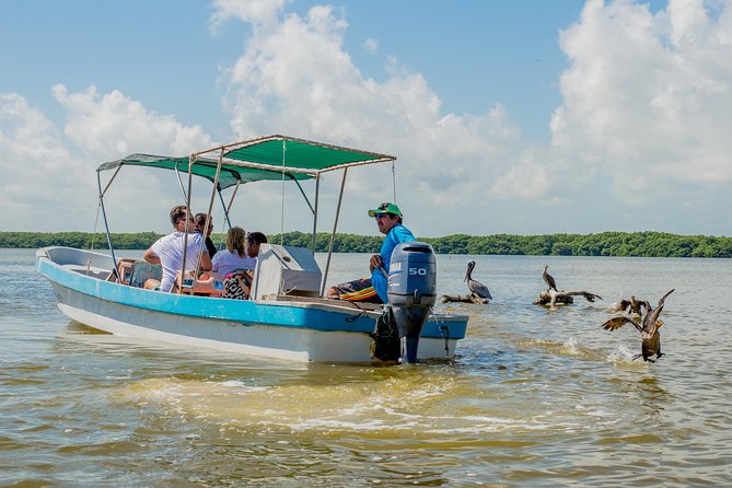 Rio Lagartos guided boat tour- Ek Balam from Valladolid - Price and Logistics: Where the Value Really Comes From