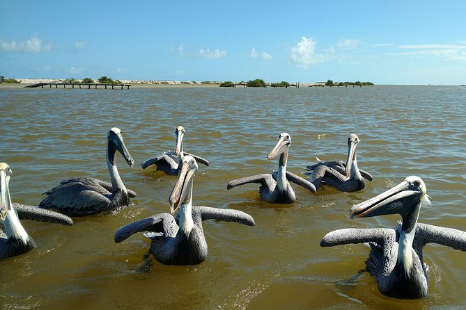 Rio Lagartos guided boat tour- Ek Balam from Valladolid - Who This Tour Suits Best (and Who Might Want a Different Plan)