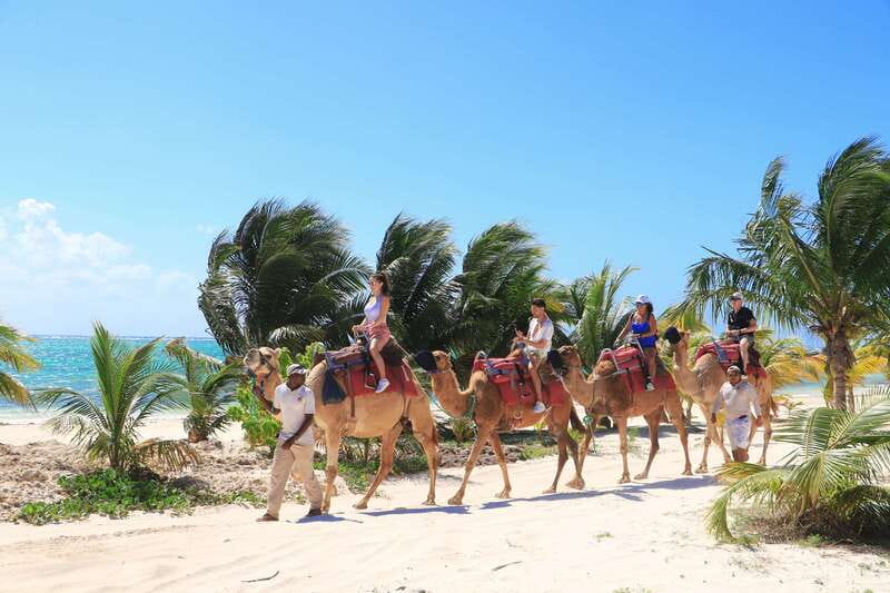 Riviera Maya: Camel Caravan Expedition and Beach Club Access - Price and Value: Is $168 Per Person Worth It?
