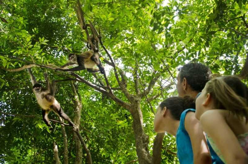 Riviera Maya: Croco Cun Interactive Zoo Tour - Key Things You Will Love About Croco Cun