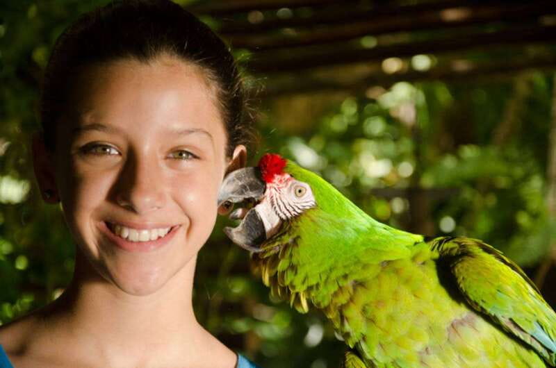 Riviera Maya: Croco Cun Interactive Zoo Tour - Animal Encounters: touching, holding, and feeding the right way