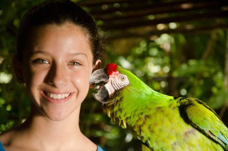 Riviera Maya: Croco Cun Interactive Zoo Tour - Price and Value: is $44 per person worth it?