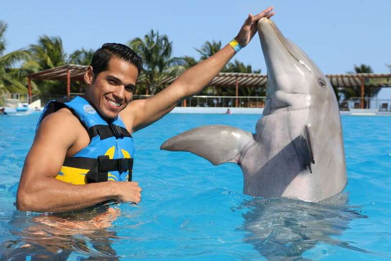 Riviera Maya: Dolphin Encounter with Beach Club Access - Dolphin Discovery Maroma: The Real Timing of Your Encounter