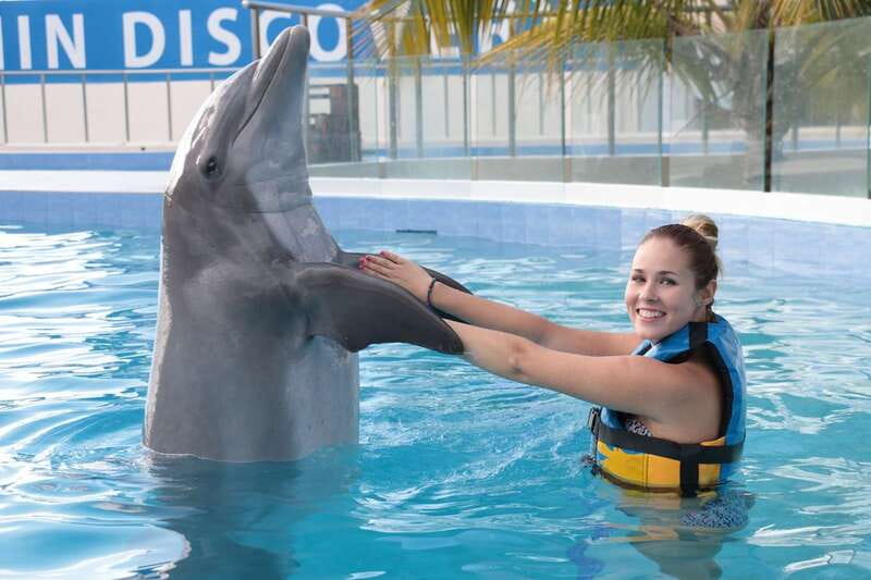 Riviera Maya: Dolphin Encounter with Beach Club Access - Who This Experience Fits Best (And Who Should Skip It)