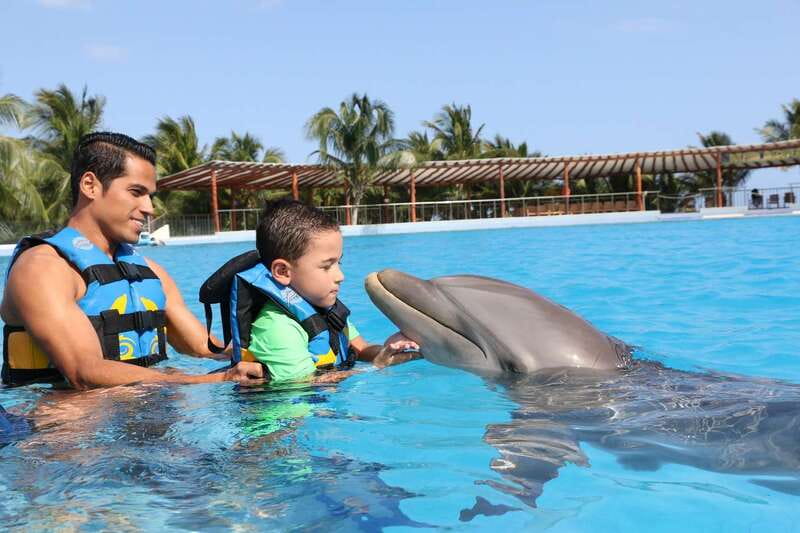 Riviera Maya: Dolphin Encounter with Beach Club Access - What You Actually Do With Dolphins (And What the Briefing Preps)