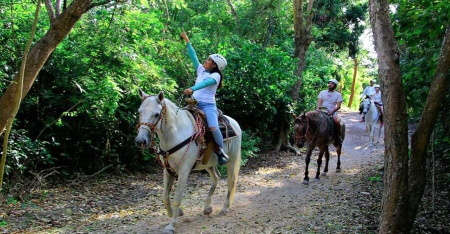 Riviera Maya: Horseback Riding at Rancho Bonanza - Beginner-Friendly Horse Riding: What You Really Need to Know