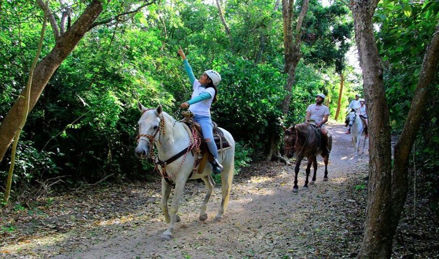 Riviera Maya: Horseback Riding at Rancho Bonanza - Getting There: Shared Pickup, Timing, and What Can Go Wrong