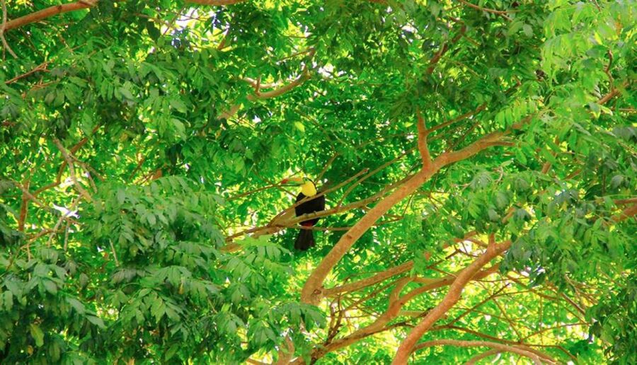 Riviera Maya: Horseback Riding at Rancho Bonanza - The 2-Hour Flow: From Ranch Briefing to Jungle Trail Time