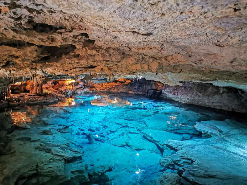 Riviera Maya: Kantun Chi Cenotes, Snorkel & Jungle Hiking - The Mayan jungle hike: your guide’s stories meet real flora and fauna