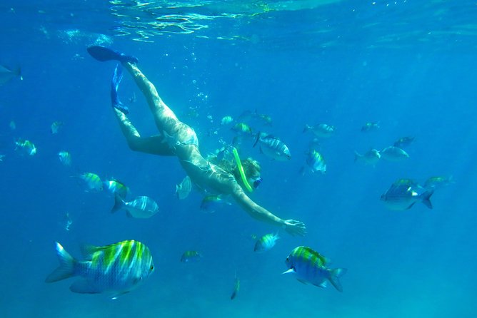 Riviera Maya Luxury Snorkeling Cruise with Lunch and Drinks - Group size, boat feel, and real-world timing
