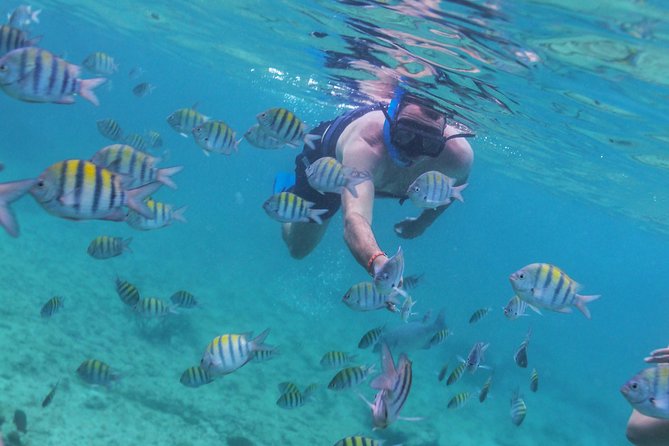 Riviera Maya Luxury Snorkeling Cruise with Lunch and Drinks - Who this cruise suits best (and who should choose something else)