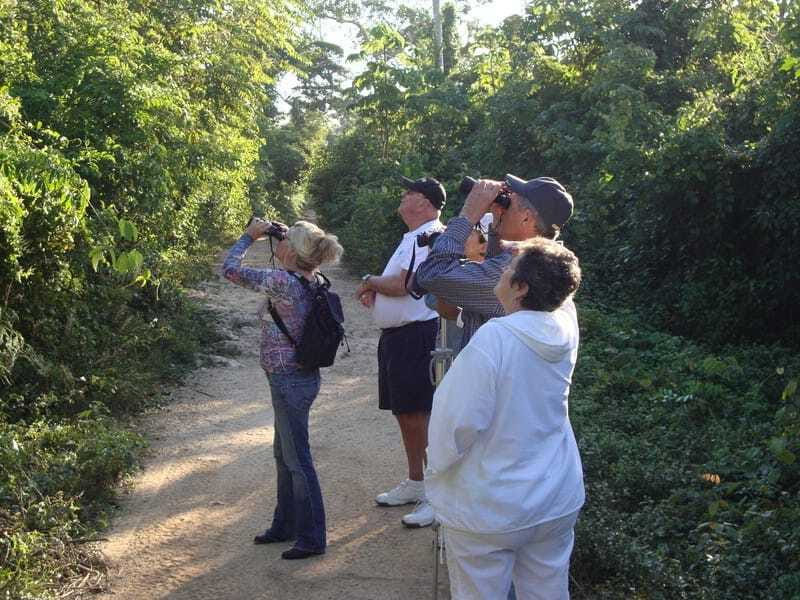 Riviera Maya: Puerto Morelos 4-Hour Bird Watching Tour - What you might spot: tucans, jays, flycatchers, and more