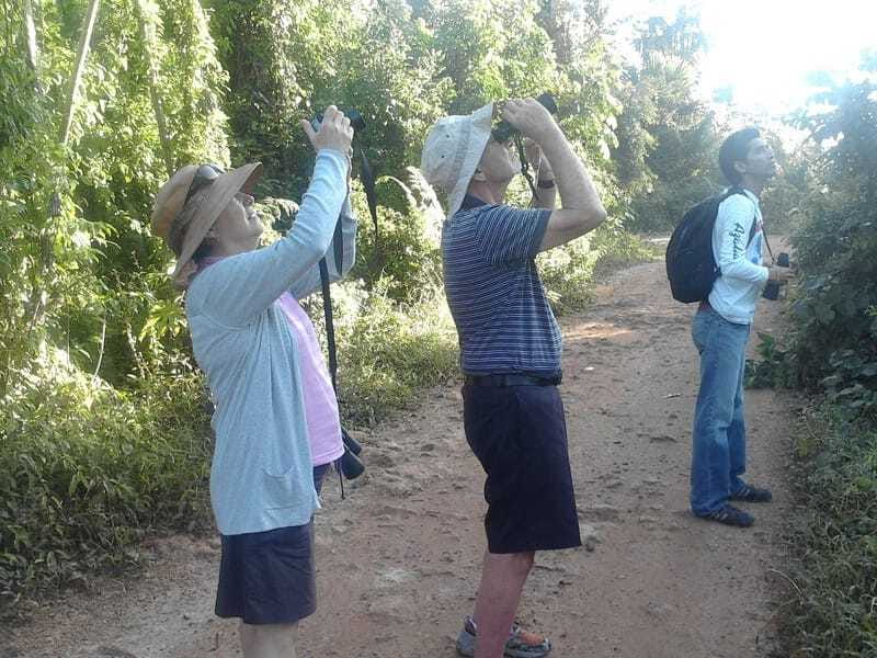 Riviera Maya: Puerto Morelos 4-Hour Bird Watching Tour - Breakfast break and included snack: fuel without slowing the day