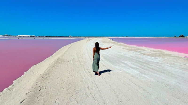 Riviera Maya: Rio Lagartos & Las Coloradas Day Trip w/Lunch - Key highlights at a glance