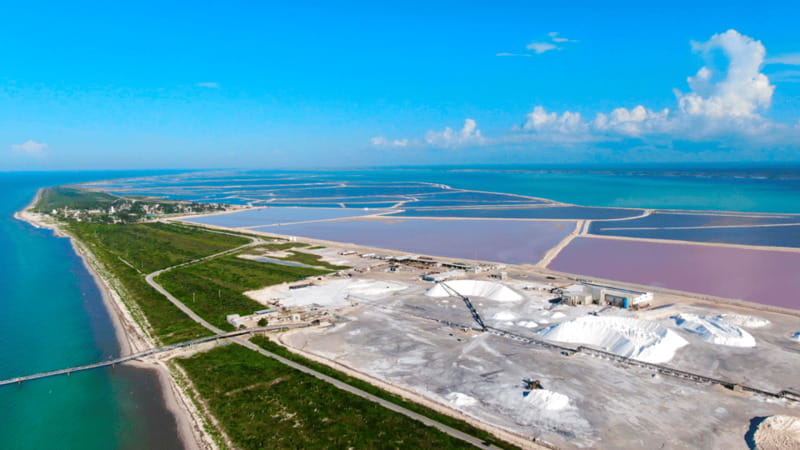 Riviera Maya: Rio Lagartos & Las Coloradas Day Trip w/Lunch - Lunch in the Yucatan: fuel for a big day, not gourmet dining