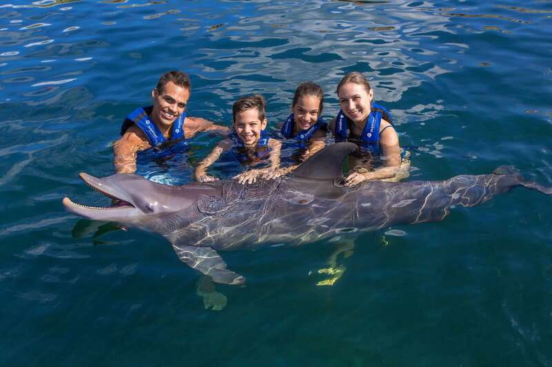 Riviera Maya: Swimming Experience with Dolphins - Where the Dolphin Swim Starts by Xcaret Park Parking Lot