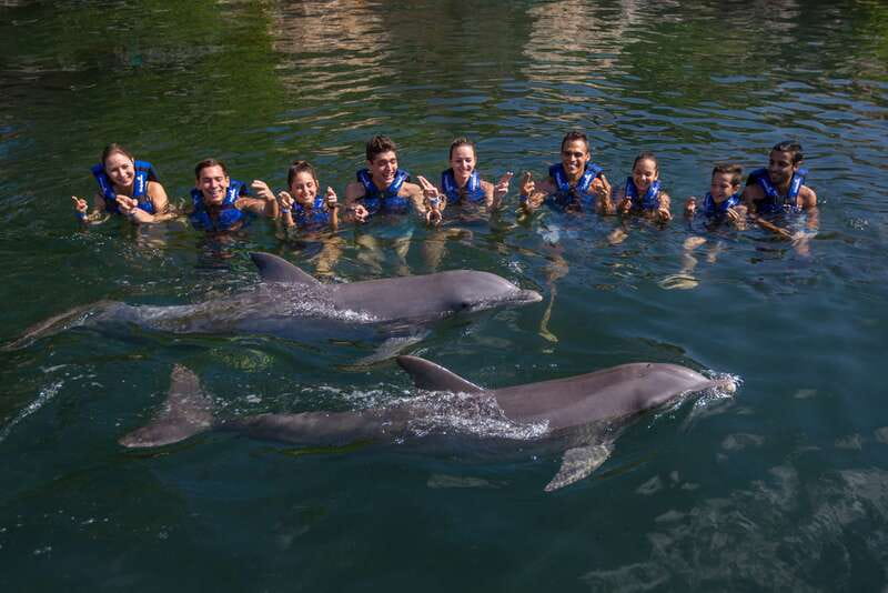 Riviera Maya: Swimming Experience with Dolphins - Safety Rules That Affect What You Bring (And What You Don’t)