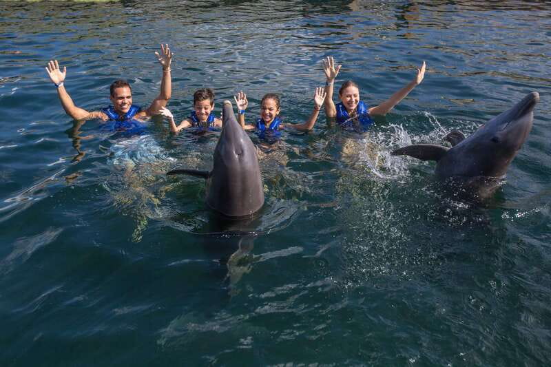 Riviera Maya: Swimming Experience with Dolphins - Quick Tips to Make Your Session Smoother