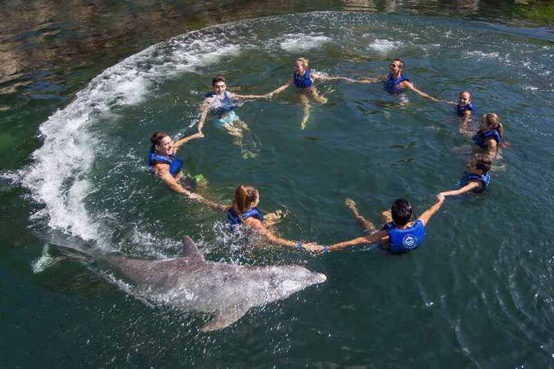 Riviera Maya: Swimming Experience with Dolphins - Should You Book This Dolphin Experience in Quintana Roo?