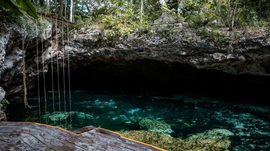 Riviera Maya: Tulum Ruins and 2 Cenotes Half-Day Tour - Cost and value: what you pay, what you still need to pay