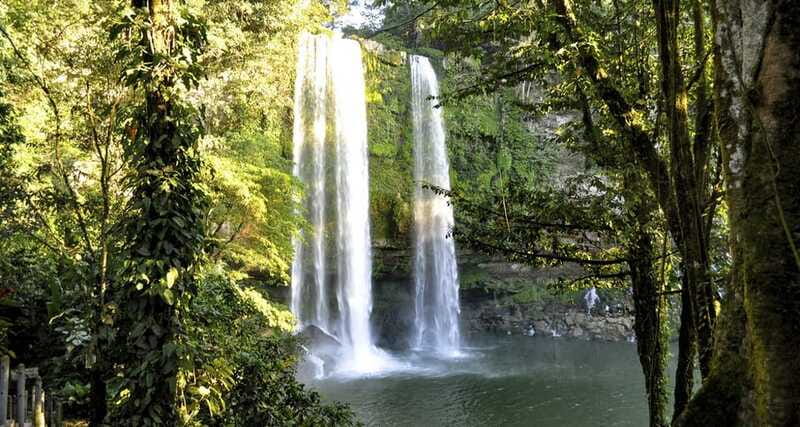 San Cristóbal: Agua Azul, Misol Ha, & Palenque Full-Day Tour - Driver vs guide: what Spanish-only really means here