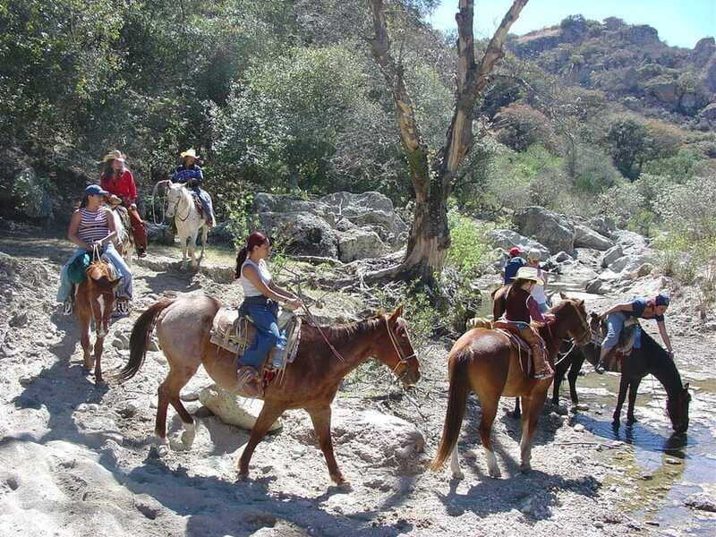 San Miguel Allende: Half-Day Horseback Riding Adventure - Who This Ride Suits Best (And Who Should Skip It)