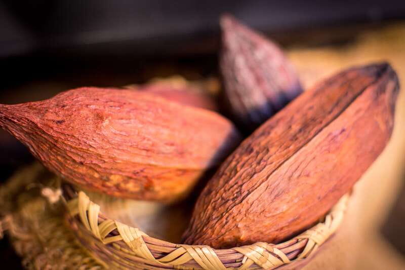 San Miguel de Allende: Chocolate Tasting and Walking Tour - The 2.5-hour format that keeps you fed and oriented