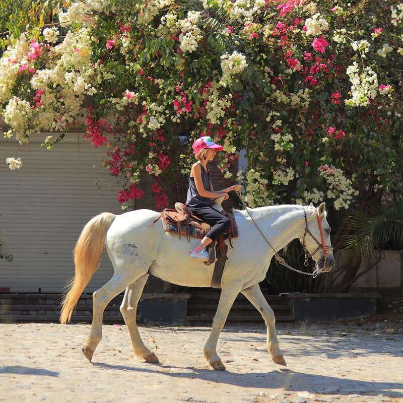 Sayulita: Horseback Riding Tour - Rancho Mi Chaparrita Starts the Day Right