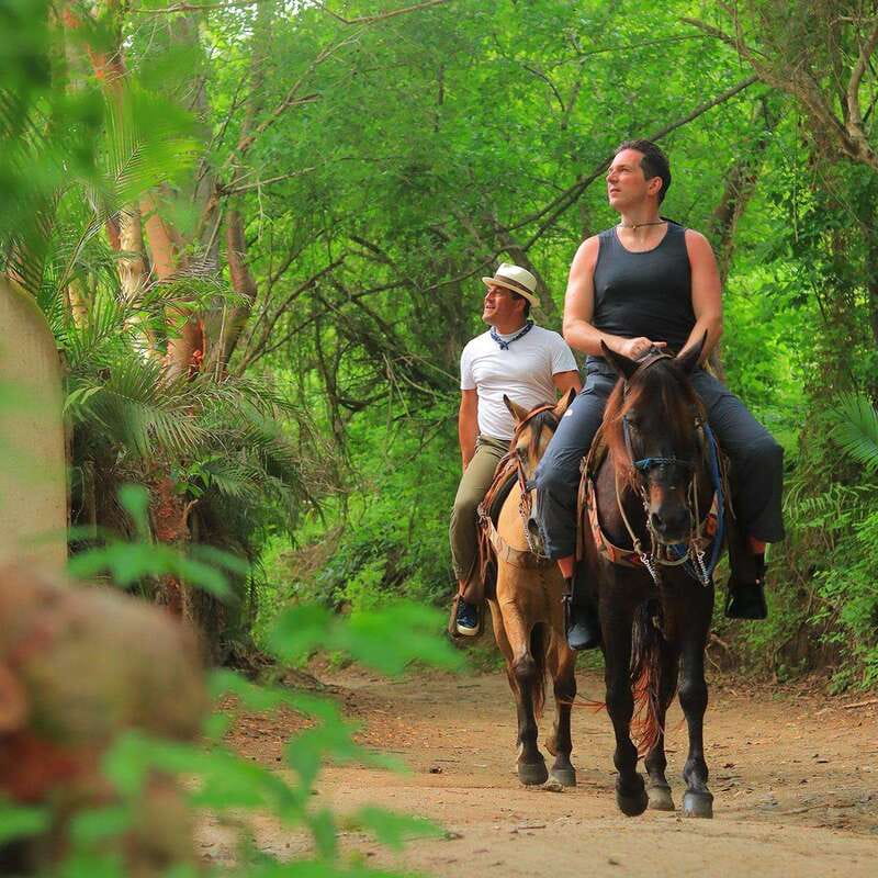 Sayulita: Horseback Riding Tour - Getting Matched With the Right Horse (Even If It’s Your First Ride)