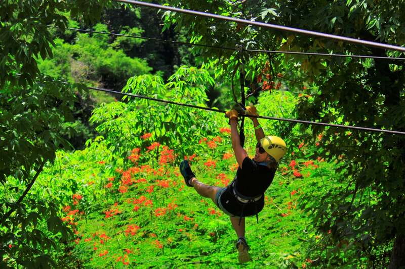 Sayulita/Punta Mita: Zip Lines with Ocean View - Who should book (and who should skip it)