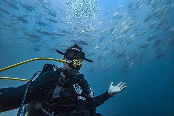 Scuba Diving - Key Things That Make This SCUBA Trip Worth Your Time