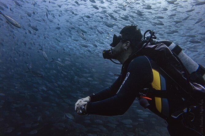Scuba Diving - Marine Park Briefing, Arch Views, and the Sea Lion Colony Stop