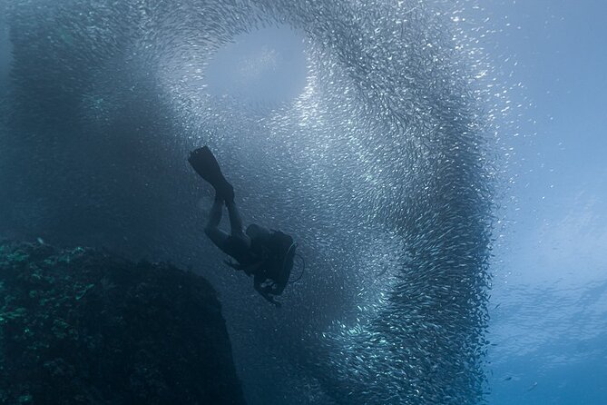 Scuba Diving - Visibility in Summer and Fall, and Why It Changes Your Day