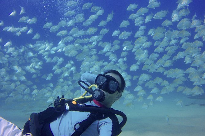 Scuba Diving - Getting There, Meeting Point, and What to Bring on the Day