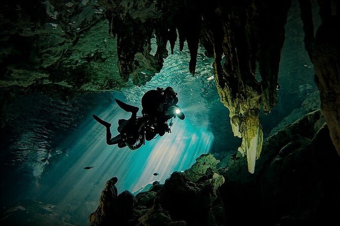 Scuba Diving in Cenote Dos Ojos from Playa del Carmen - Why Cenote Dos Ojos from Playa del Carmen is a solid half-day adventure