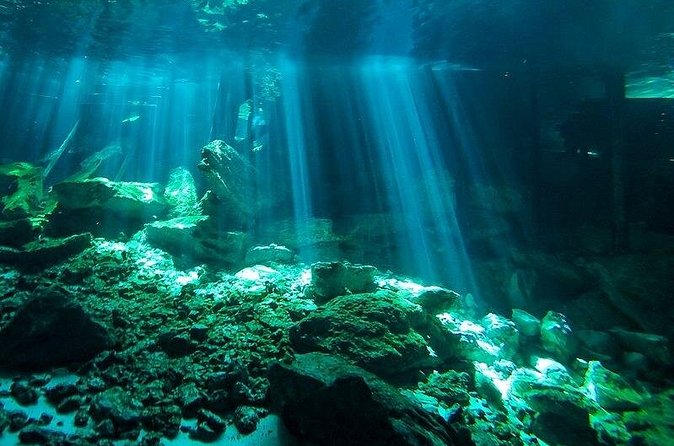 Scuba Diving in Cenote Dos Ojos from Playa del Carmen - Price, value, and the MX$400 cenote entrance fee you should budget