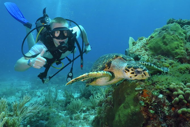 Scuba Diving Under Water Museum and Reef for beginners - Key highlights I think are worth your time