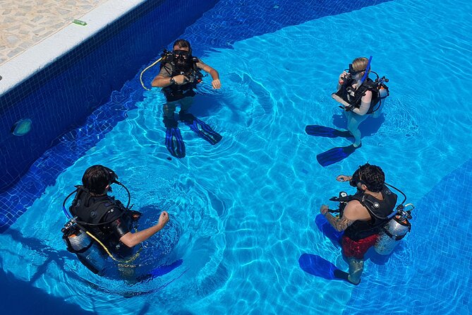 Scuba Diving Under Water Museum and Reef for beginners - Stop 2: Manchones Reef, coral and marine life for first-timers
