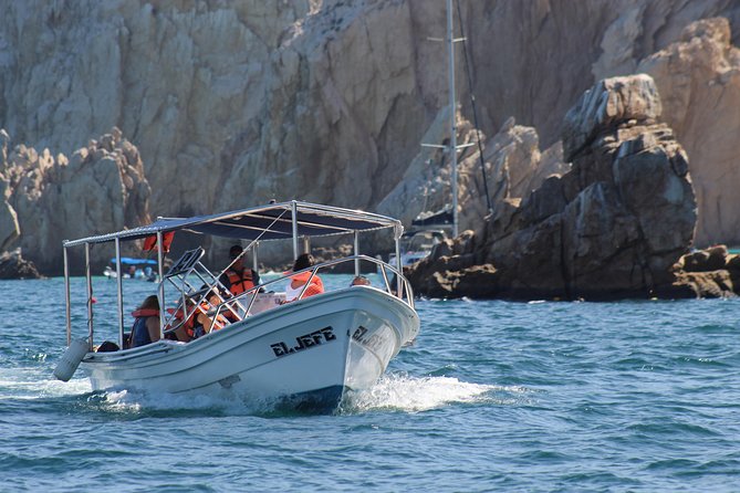 Shared ride to the arch of Cabo San Lucas - Captain and guide energy: what you’re paying for besides the ride