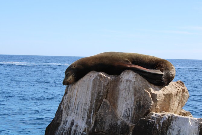 Shared Tour to the Arch of Cabo San Lucas - Where El Arco really sits, the meeting of two oceans