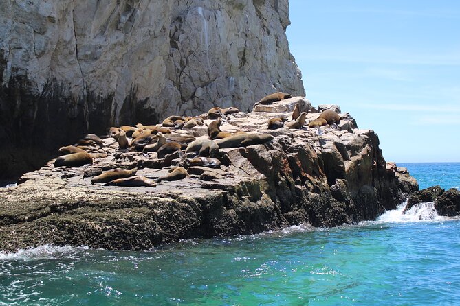 Shared Tour to the Arch of Cabo San Lucas - Pacific Window and the sea life stop, where the bay starts showing off